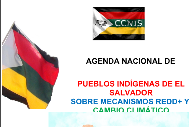 Agenda Nacional de Con el Apoyo de Pueblos Indígenas de El Salvador sobre Mecanismos REDD+ y Cambio Climático.